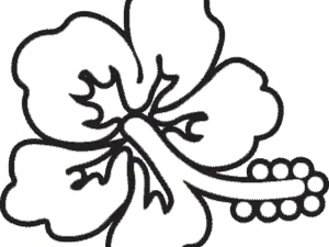 Hibiscus Flower Outline Design PNG