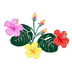 Hibiscus Flower Outline PNG Lwd PNG
