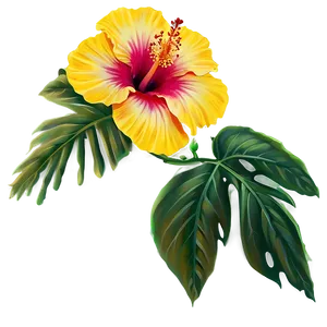 Hibiscus Flower PNG Bli98