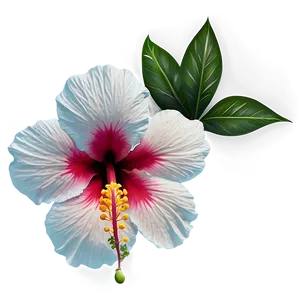 Hibiscus Flower Transparent PNG Kfh69 PNG