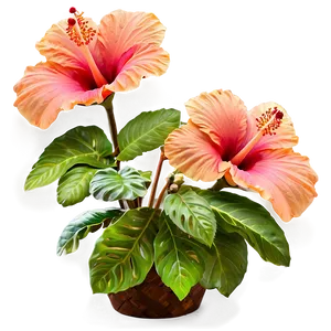 Hibiscus Garden Png 05232024 PNG image