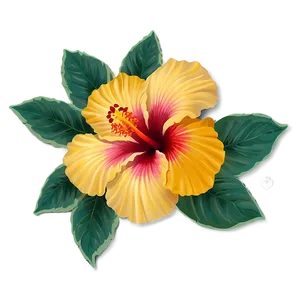 Hibiscus Greeting Png Xam PNG image