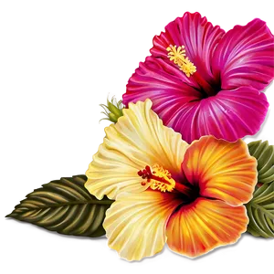 Hibiscus Harmony Png Oga35 PNG image