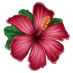 Hibiscus Illustration Png Chc28 PNG image