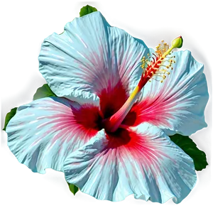 Hibiscus In Bloom PNG 71