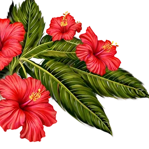 Hibiscus In Bloom Png Qpv PNG image