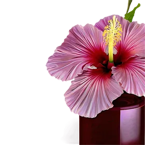 Hibiscus In Vase Png 82 PNG image