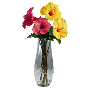 Hibiscus In Vase Png Saq89 PNG image