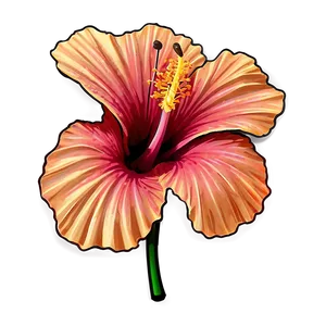 Hibiscus Outline PNG 94