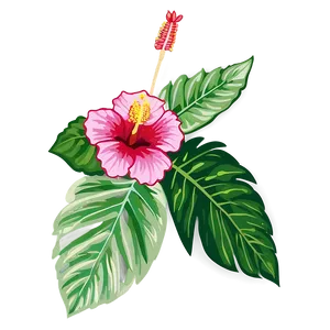 Hibiscus Outline PNG Wkw