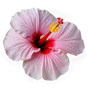 Hibiscus Petal Png Gic58 PNG image