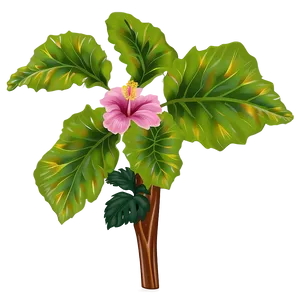 Hibiscus Plant Png 67 PNG image