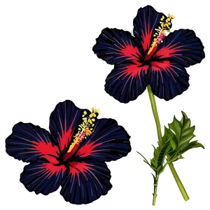 Hibiscus Silhouette PNG Akd69