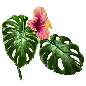 Hibiscus Sketch Png 74 PNG image