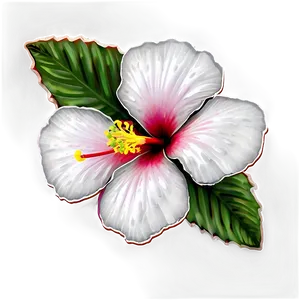 Hibiscus Sketch Png Xfo PNG image