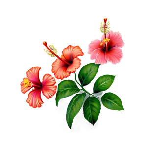 Hibiscus Tattoo Png Jfq PNG image