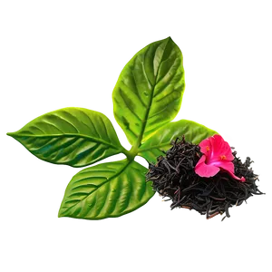 Hibiscus Tea Leaf Png 22 PNG image