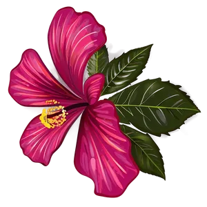 Hibiscus Vector Png 4 PNG image