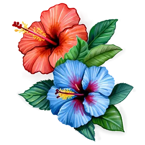 Hibiscus Watercolor Png 38 PNG image