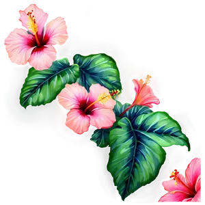 Hibiscus Watercolor Png 7 PNG image