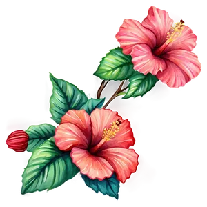 Hibiscus Watercolor Png Gnj38 PNG image
