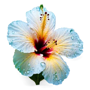 Hibiscus With Dew Png 05232024 PNG image