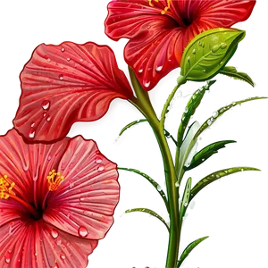 Hibiscus With Dew Png Yhc PNG image