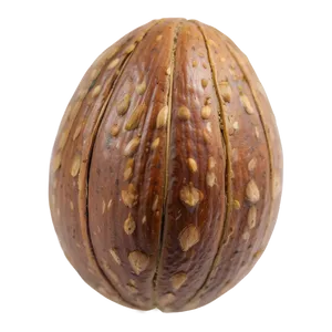 Hickory Nut Png Wiq67 PNG image