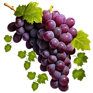 High Definition Grape PNG 90 PNG