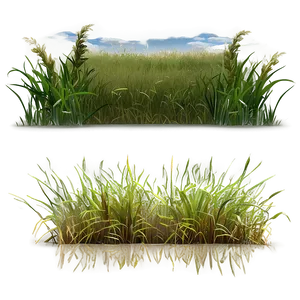 High Grass Field Png 04292024 PNG image