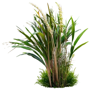 High Grass Field Png Ahi75 PNG image
