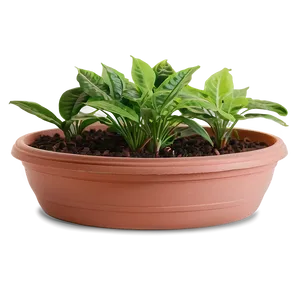 High Humidity Plant Png 61 PNG image