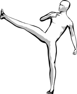 High Kick Silhouette
