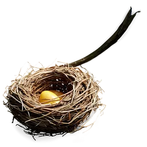 High-quality Bird Nest Png 06212024 PNG image