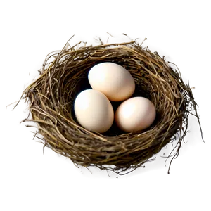 High-quality Bird Nest Png 49 PNG image