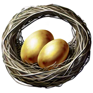 High-quality Bird Nest Png Vai20 PNG image