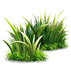 High Quality Cartoon Grass Png Igc PNG image