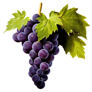 High-quality Grape Png 06292024 PNG image