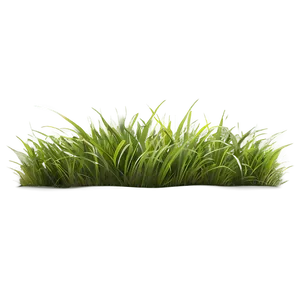 High Quality Grass Clipart Png Rkc35 PNG image