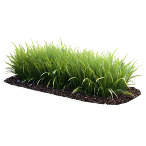 High-quality Grass Patch Png 75 PNG image