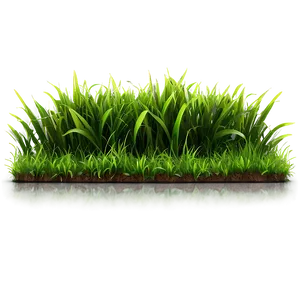 High-quality Green Grass PNG Mex PNG