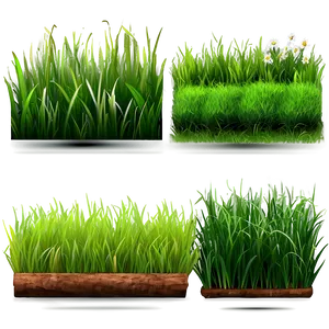 High-quality Green Grass PNG Yyh PNG
