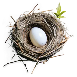 High-quality Nest Image PNG 46