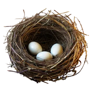 High-quality Nest Image Png Wjx62 PNG image