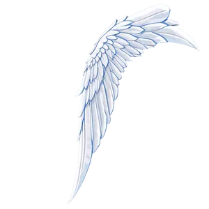 High-quality White Wings PNG 06262024 PNG