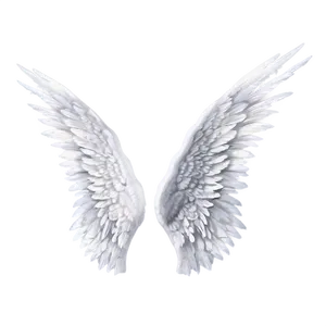 High-quality White Wings PNG 95 PNG