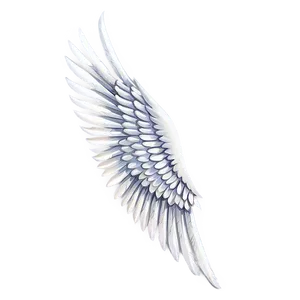 High-quality White Wings PNG Euj PNG