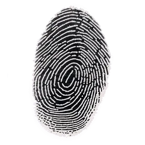 High-resolution Fingerprint Image Png 3 PNG image