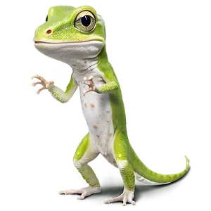 High Resolution Geico Gecko Png 06212024 PNG image