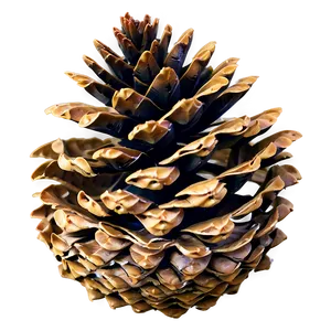 High Resolution Pine Cone Png 06202024 PNG image